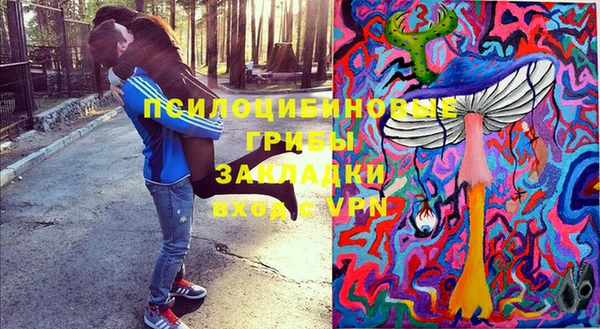 трава Зерноград