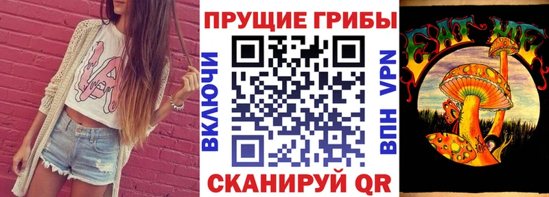 Псилоцибиновые грибы ЛСД Купить Дорогобуж