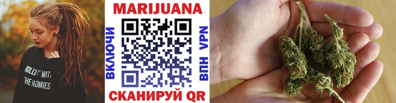 Конопля план  Купить закладки  Дорогобуж 